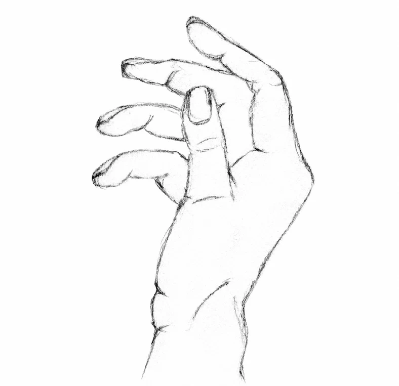 Contour & Charcoal Drawings — Contour Drawings The Purpose of Contour, image 4