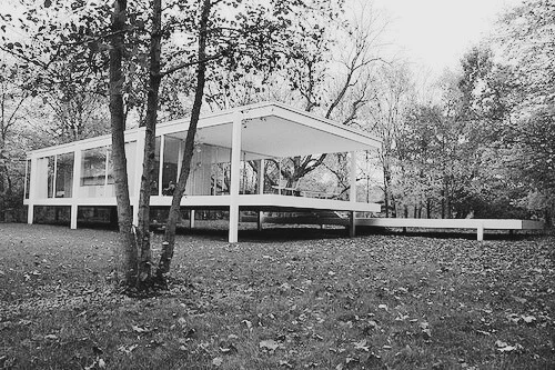 Farnsworth House — Section Edit — Repetition Linear, image 13