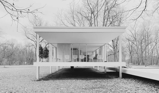 Farnsworth House — Section Edit — Repetition Linear, image 18