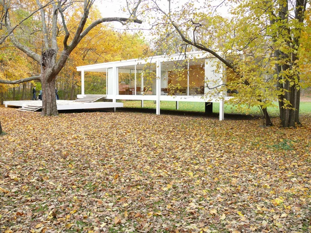 Farnsworth House — Section Edit — Repetition Linear, image 22